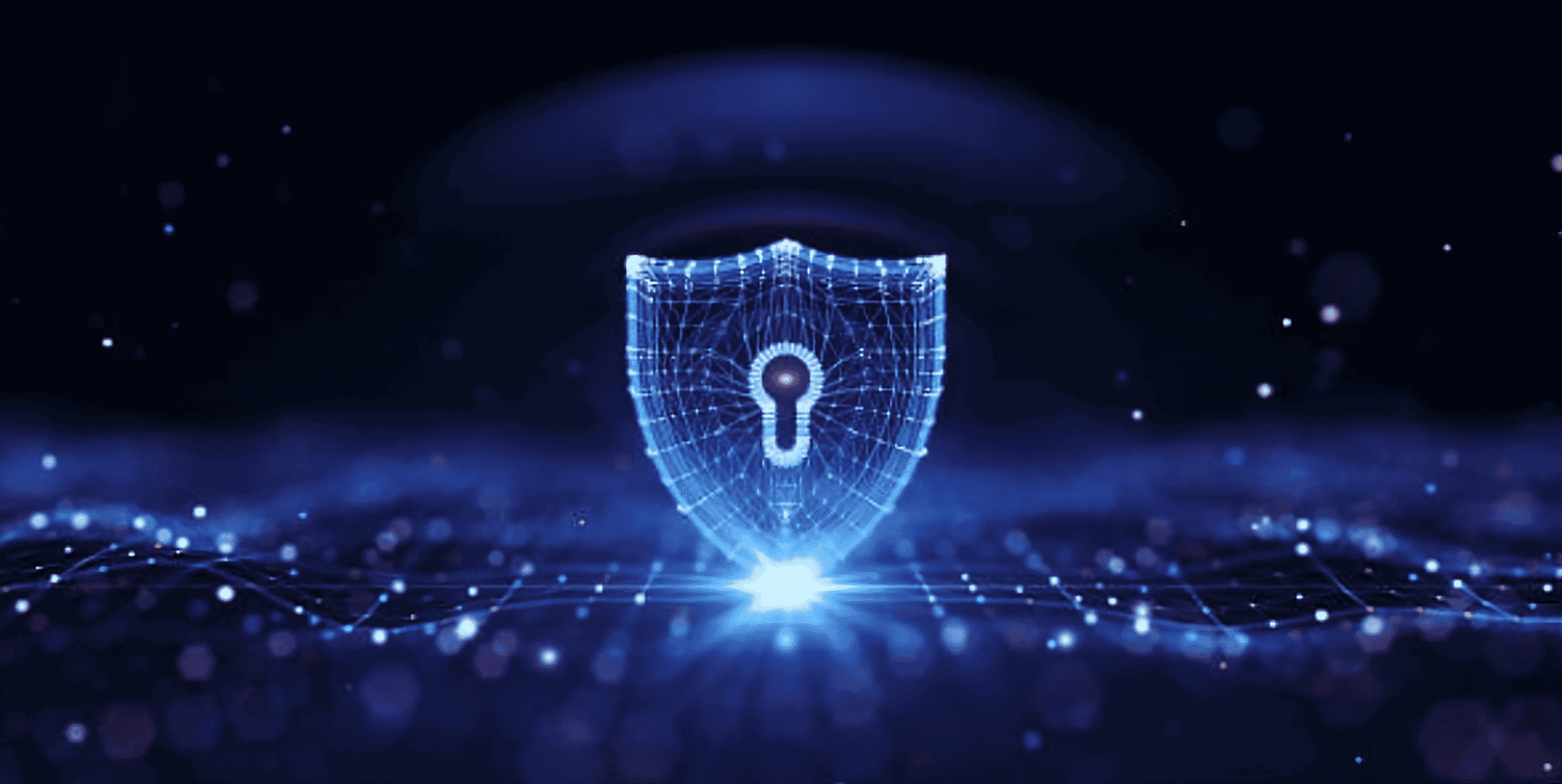 Contact VHost Consulting Experts